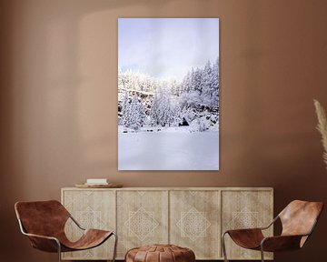 Cross-country skiing in the snowy Thuringian Forest near Floh-Seligenthal - Thuringia - Germany by Oliver Hlavaty