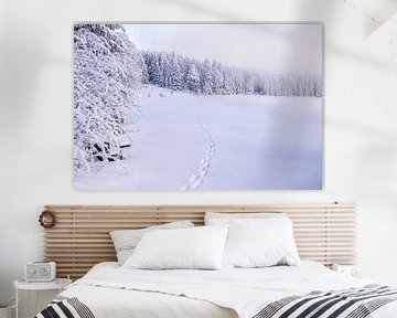 Cross-country skiing in the snowy Thuringian Forest near Floh-Seligenthal - Thuringia - Germany by Oliver Hlavaty