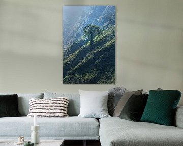 Arbre solitaire dans un paysage de conte de fées