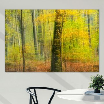 Autumn forest in motion