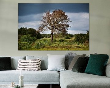 Baum im Feld von Sjoerd van der Hucht