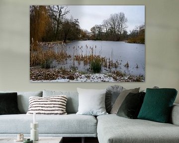 Winter landscape Rivierenhof Deurne, frozen pond. by Kristof Leffelaer