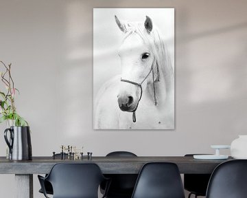 Wit paard van abstract artwork