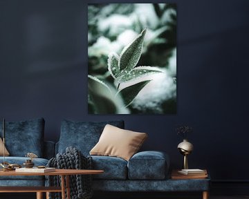 Feuilles avec neige et glace II sur Jan Eltink