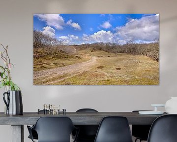 Duinen van het Noordhollands duinreservaat