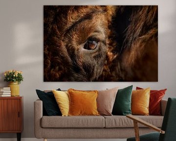 Eye-to-eye with a European Bison (Wisent) by Patrick van Os