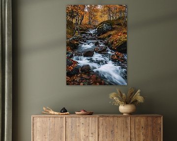 Mystieke herfst