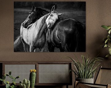 paard zwart-wit van abstract artwork
