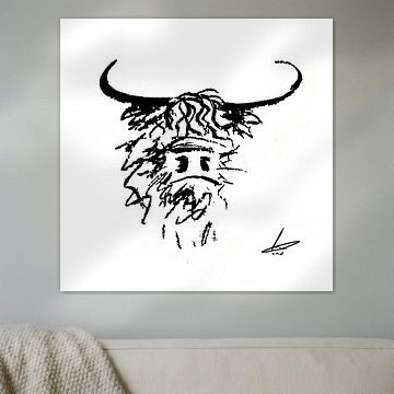 Scottish highlander black and white head