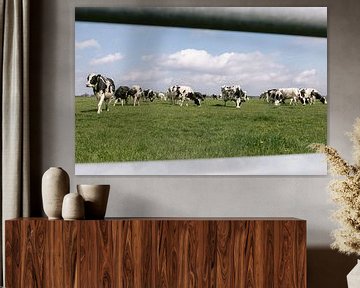Kühe auf der Wiese von Marika Huisman fotografie