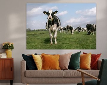 Cow mooing by Marika Huisman fotografie