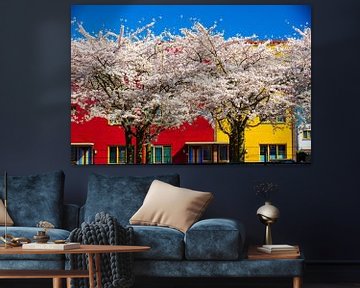 Blühende Kirschbäume, Almere von Lieuwe J. Zander