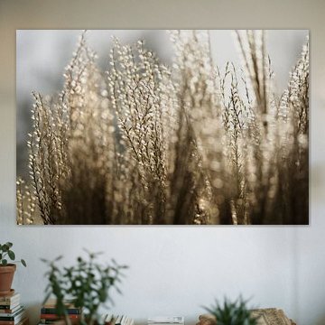 Winter glow... by Carla Mesken-Dijkhoff