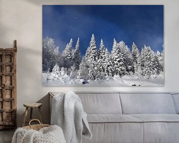 Snowy trees under a blue sky by Claude Laprise