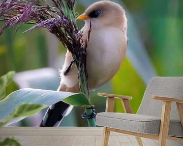 Jonglieren mit Bartflechten. 2