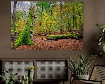 forest landscape with mushrooms by eric van der eijk