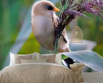 Jonglieren mit Bartflechten. 3