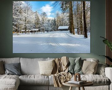 Korte winterwandeling rond de besneeuwde Inselsberg bij Brotterode - Thüringen - Duitsland van Oliver Hlavaty