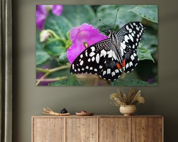 Sonder Schmetterling auf einer rosa Blume von Rietje Bulthuis