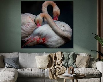 Flamboyante Flamingos von Angela Dijkman