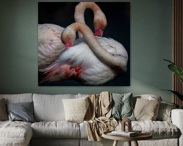 Flamboyante Flamingos van Angela Dijkman