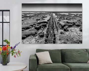 Buhnenküste (schwarz-weiss) von Orangefield-images