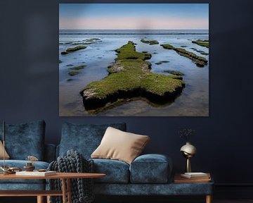 Uferinsel (color) von Orangefield-images