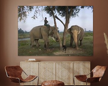 Olifanten met mahout in Chitwan National Park Nepal van Sarineke Daane