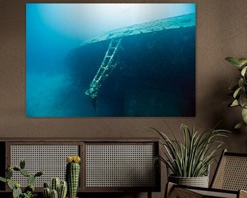 Wreck in the Caribbean sea around Bonaire. by Vanessa D.