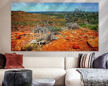 Uitzicht over de vallei in Watarrka Nationaal Park, Australie