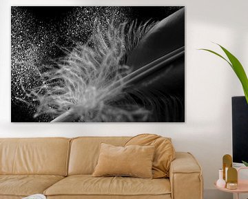 Macro foto van een veer met dons in zwart wit van Lisette Rijkers