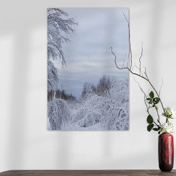 Dänische Schneelandschaft