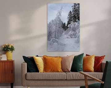 Winter landscape by Tanja Huizinga Photography