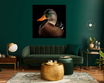 Portrait de canard sur TheXclusive Art