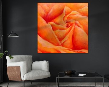 Peachy rose square by Karen Kaspar