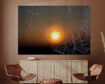 Spinnenweb met dauwdruppels bij zonsopkomst.
