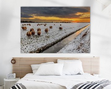 Schafe, Schnee, dunkle Wolken und eine aufgehende Sonne von Remco Bosshard