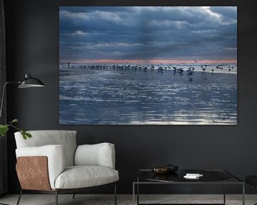 Möwen am Strand von Noordwijk von Yanuschka Fotografie | Noordwijk