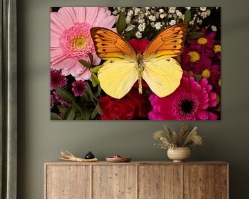 Een exotische vlinder op een bloem van Roland Brack