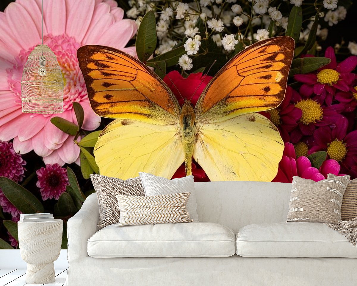 Raumvorschau