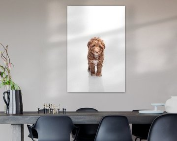 Portrait Labradoodle Welpe von Ellen Van Loon