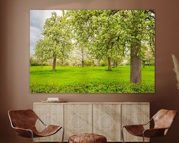 Bloeiende fruitbomen in de lente in Zuid-Limburg van Sjoerd van der Wal Fotografie