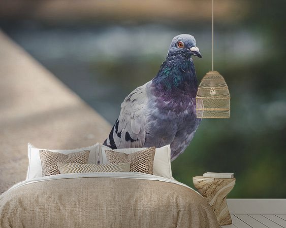 Aperçu de la chambre