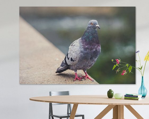 Aperçu de la chambre