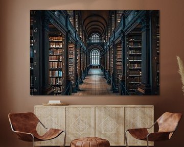 Bibliotheek van fernlichtsicht