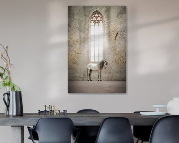 Spaanse hengst in oude kerk | horse photography | groot raam van Laura Dijkslag