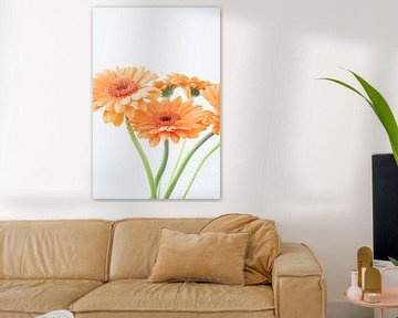 Soft pastel orange gerbera' s - sunny still life nature and travel photography by Christa Stroo photography