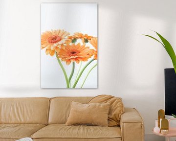 Zacht pastel oranje gerbera' s - zonnig stilleven natuur en reisfotografie