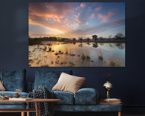 Aperçu de la chambre