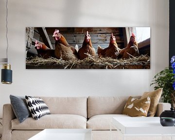 Panorama van vijf kippen in de stal van een boerderij van Digitale Schilderijen
